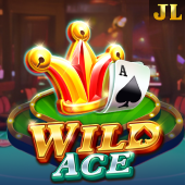 Wild Ace bmw33 slot